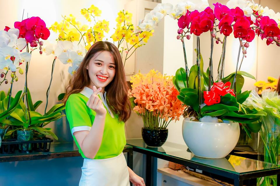 shop lan hồ điệp tại tân bình được nhiều người lựa chọn 